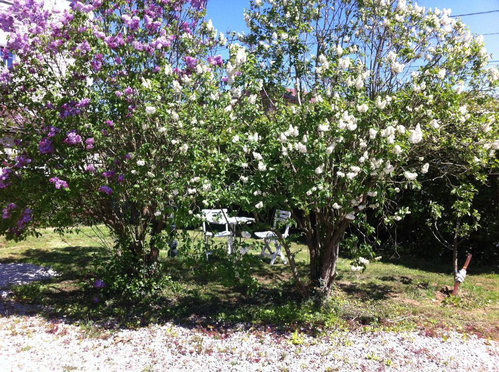 Les Lilas Roses Chamouilley Eksteriør billede